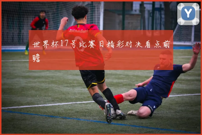 世界杯17号比赛日精彩对决看点前瞻