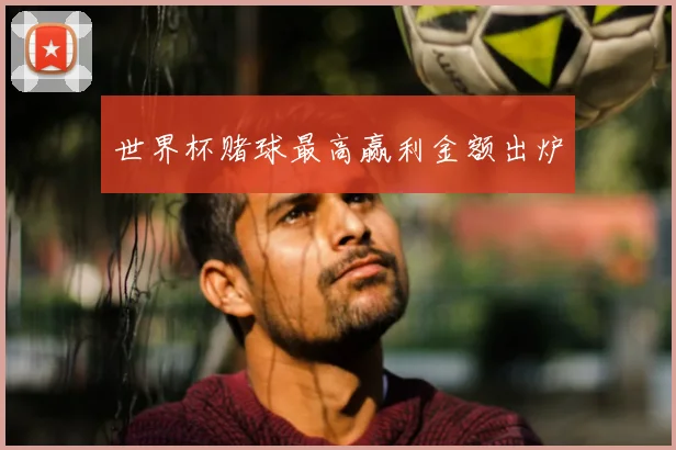 世界杯赌球最高赢利金额出炉