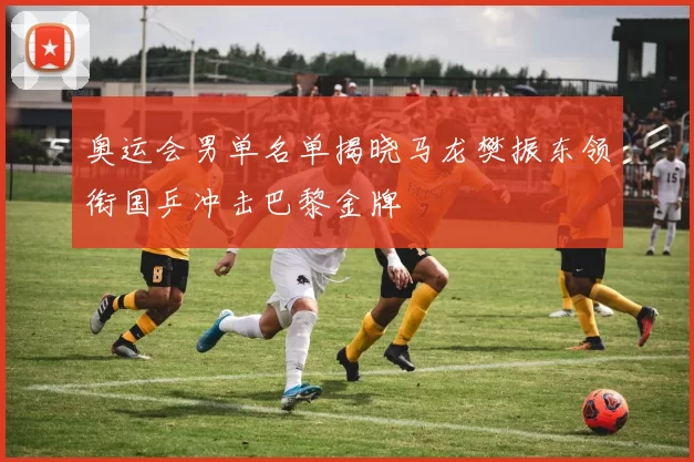 奥运会男单名单揭晓马龙樊振东领衔国乒冲击巴黎金牌