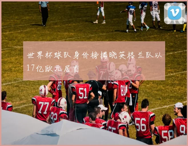 世界杯球队身价榜揭晓英格兰队以17亿欧元居首