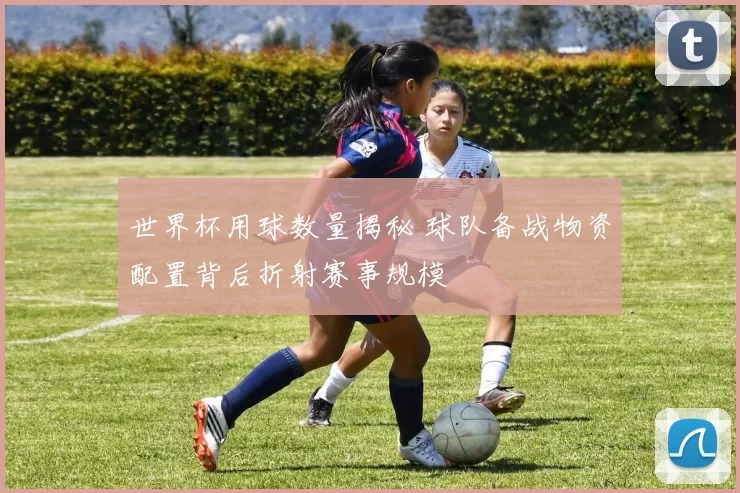 世界杯用球数量揭秘 球队备战物资配置背后折射赛事规模