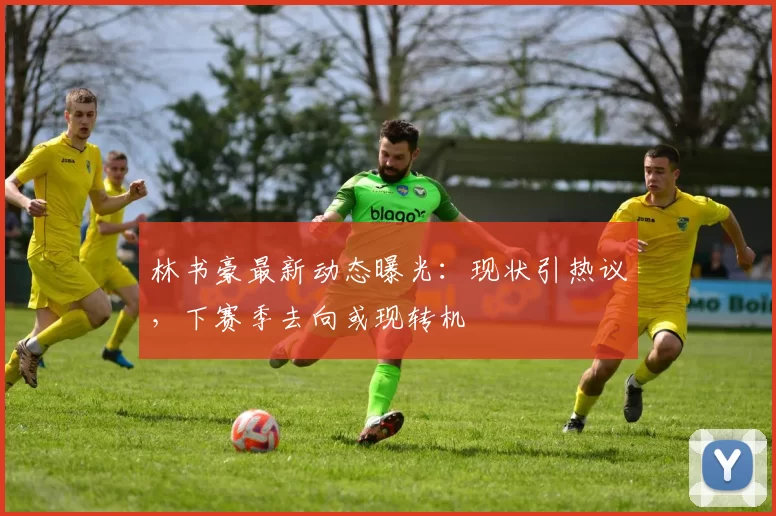 林书豪最新动态曝光：现状引热议，下赛季去向或现转机