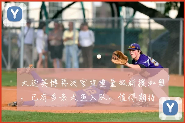 大连英博再次官宣重量级新援加盟，已有多条大鱼入队，值得期待