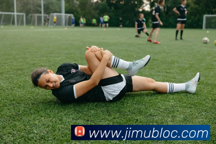 App Interface Preview